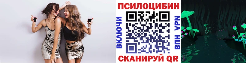 Купить  Берёзовка  Галлюциногенные грибы ЛСД 